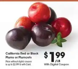 Kroger California Red or Black Plums or Plumcots offer