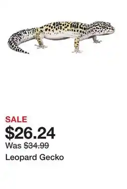 Petsmart Leopard Gecko offer