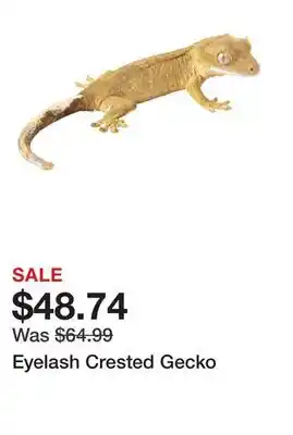 Petsmart Eyelash Crested Gecko offer