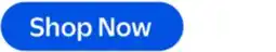 Walmart Mainstays by Becky G. & Alejandra Oblong Decorative Pillow, Royal Blue Cabana Stripe offer