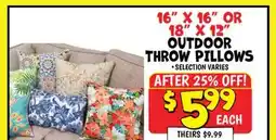 Ollie's 16 X 16 OR 18 x 12 OUTDOOR THROW PILLOWS offer