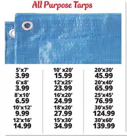 Ocean State Job Lot All-Purpose Weather Resistant Tarps offer