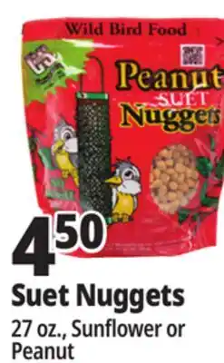 Ocean State Job Lot C&S Wire Bird Feeder offer