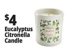 Ocean State Job Lot Eucalyptus Citronella Candle offer