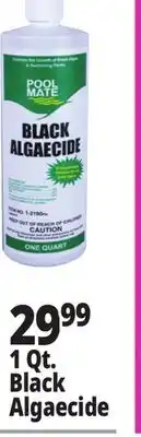 Ocean State Job Lot 1 Qt. Black Algaecide offer