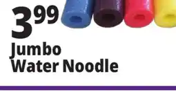 Ocean State Job Lot Jumbo Water Noodle offer