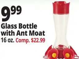 Ocean State Job Lot Glass Bottle with Ant Moat offer