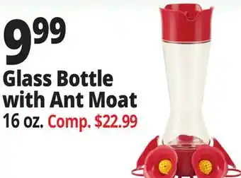Ocean State Job Lot Glass Bottle with Ant Moat offer