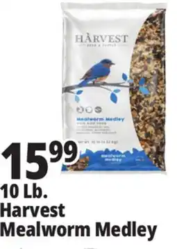 Ocean State Job Lot 10 Lb. Harvest Mealworm Medley offer