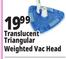 Ocean State Job Lot SwimWorks Deluxe Weighted Triangular Vacuum Head offer