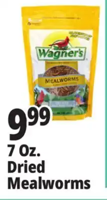 Ocean State Job Lot Wagner's Bird Meal Worms 7oz offer
