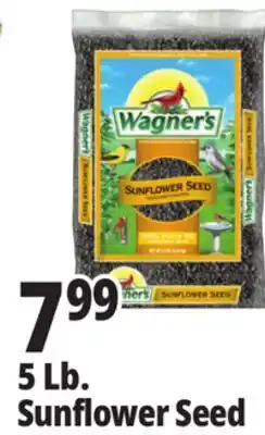 Ocean State Job Lot Wagner's Black Oil Sunflower Seed Wild Bird Food 5 lbs offer