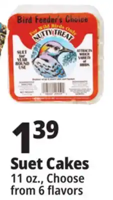 Ocean State Job Lot Bird Feeder's Choice High Energy Suet 11 oz offer