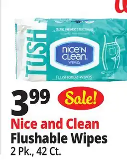 Ocean State Job Lot Nice'n Clean Flushable Wipes 42 ct offer