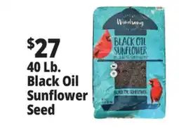 Ocean State Job Lot Black Oil Sunflower Seeds 40 lbs offer