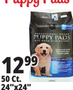 Ocean State Job Lot 24x24 Puppy Pads with Odor Eliminators 50 Count offer