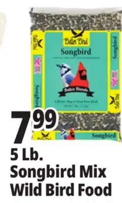 Ocean State Job Lot Better Bird Songbird Better Blends Food 5 lbs offer