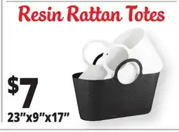 Ocean State Job Lot Resin Rattan Totes offer