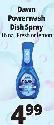 Ocean State Job Lot Dawn Platinum EZ-Squeeze Liquid Dish Detergent 24.3 oz offer