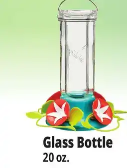 Ocean State Job Lot Glass Bottle offer