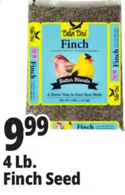 Ocean State Job Lot Better Bird Finch Bird Food 4 lbs offer