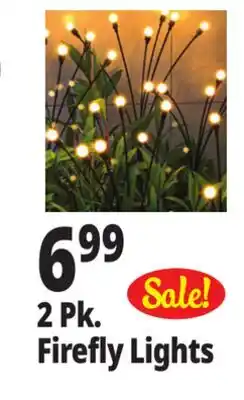 Ocean State Job Lot Solar LED Stake Lights offer