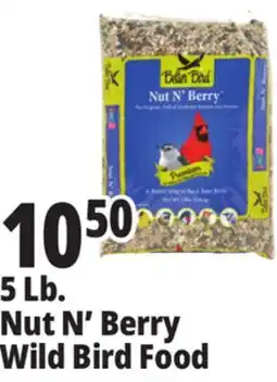 Ocean State Job Lot 5 Lb. Nut N' Berry Wild Bird Food offer