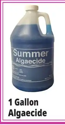 Ocean State Job Lot Summer Algaecide 1 Gal offer