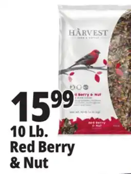 Ocean State Job Lot 10 Lb. Red Berry & Nut offer