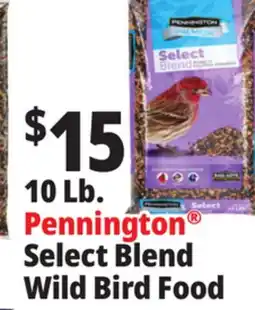 Ocean State Job Lot Pennington Premium Select Blend Bird Seed 10 lb offer