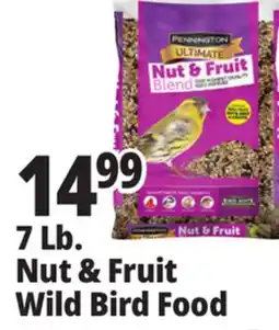 Ocean State Job Lot Pennington Ultimate Nut & Fruit Blend Wild Bird Seed 7 lbs offer