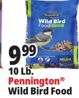 Ocean State Job Lot Pennington Wild Bird Food 10 lbs offer