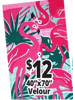 Ocean State Job Lot Beach Towels 40x70 Velour offer