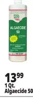 Ocean State Job Lot 1 Qt. Algaecide 50 offer