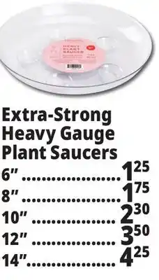 Ocean State Job Lot Plant Saucers offer