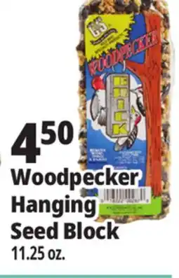 Ocean State Job Lot C&S Woodpecker Brick 11.25 oz offer