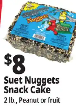 Ocean State Job Lot Suet Nuggets Snack Cake offer