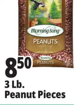 Ocean State Job Lot Morning Song Wildlife Food Peanuts 3 lbs offer