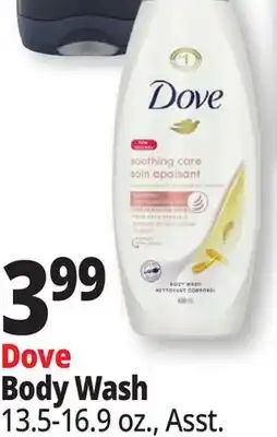 Ocean State Job Lot Dove Body Wash offer