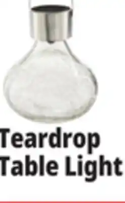 Ocean State Job Lot Outdoor Living Accents Solar Glass Teardrop LED Table Top Light offer
