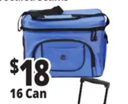 Ocean State Job Lot North Peak Hard Lined Cooler 9-can offer
