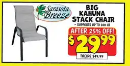 Ollie's BIG KAHUNA STACK CHAIR offer