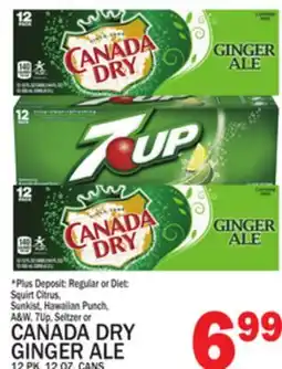C Town CANADA DRY GINGER ALE offer