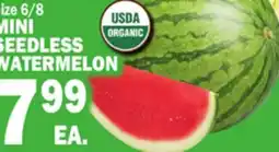 Bravo Supermarkets MINI SEEDLESS WATERMELON offer