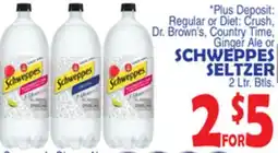 Bravo Supermarkets SCHWEPPES SELTZER offer