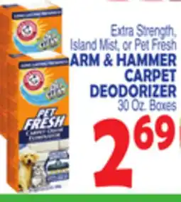 Bravo Supermarkets ARM & HAMMER CARPET DEODORIZER offer