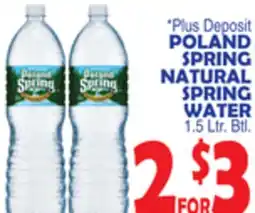 Bravo Supermarkets POLAND SPRING NATURAL SPRING WATER offer