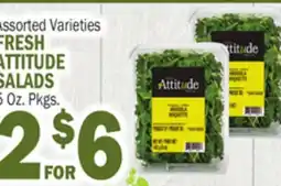 Bravo Supermarkets FRESH ATTITUDE SALADS offer