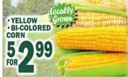 Bravo Supermarkets YELLOW, BI-COLORED CORN offer