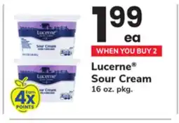 ACME Lucerne Sour Cream offer